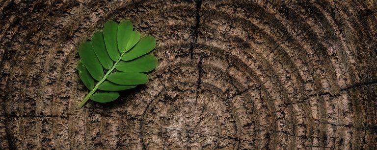 Lee más sobre el artículo Psicoterapia Transpersonal