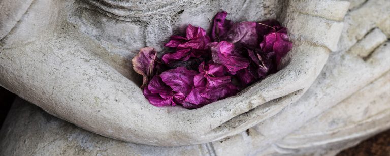 Lee más sobre el artículo ¿Meditación y/o psicoterapia?